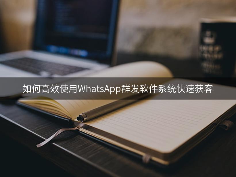 如何高效使用WhatsApp群发软件系统快速获客
